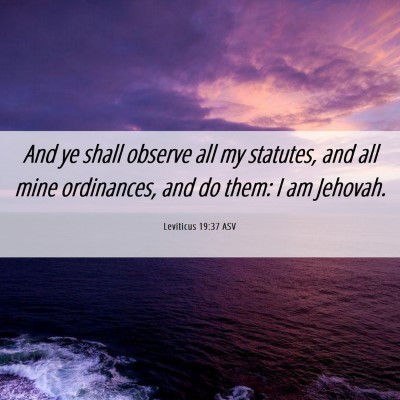 Picture 06 - Leviticus 19:37 ASV - And ye shall observe all my statutes, and all - Bible Verse Picture