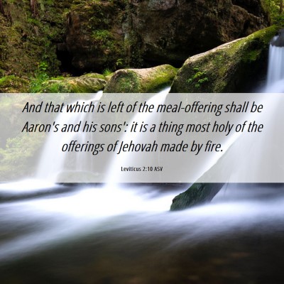 Picture 06 - Leviticus 2:10 ASV - And that which is left of the meal-offering shall - Bible Verse Picture