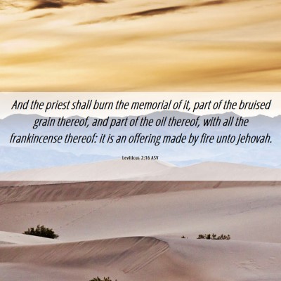 Picture 06 - Leviticus 2:16 ASV - And the priest shall burn the memorial of it, - Bible Verse Picture