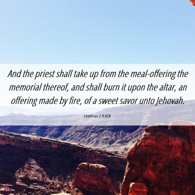 Picture 06 - Leviticus 2:9 ASV - And the priest shall take up from the - Bible Verse Picture