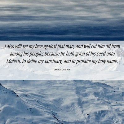 Picture 06 - Leviticus 20:3 ASV - I also will set my face against that man, and - Bible Verse Picture