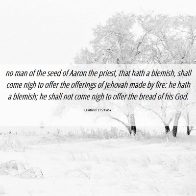 Picture 06 - Leviticus 21:21 ASV - no man of the seed of Aaron the priest, that hath - Bible Verse Picture