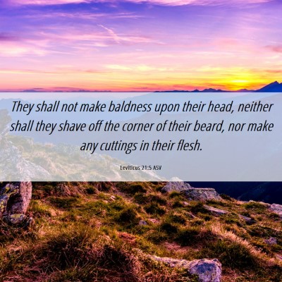 Picture 06 - Leviticus 21:5 ASV - They shall not make baldness upon their head, - Bible Verse Picture