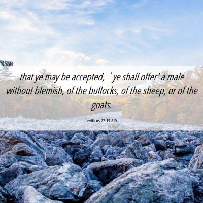 Picture 06 - Leviticus 22:19 ASV - that ye may be accepted, `ye shall offer' a male - Bible Verse Picture