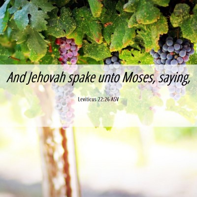 Picture 06 - Leviticus 22:26 ASV - And Jehovah spake unto Moses, - Bible Verse Picture