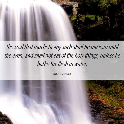 Picture 06 - Leviticus 22:6 ASV - the soul that toucheth any such shall be unclean - Bible Verse Picture