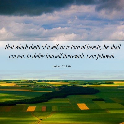 Picture 06 - Leviticus 22:8 ASV - That which dieth of itself, or is torn of beasts, - Bible Verse Picture