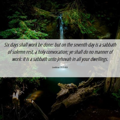 Picture 06 - Leviticus 23:3 ASV - Six days shall work be done: but on the seventh - Bible Verse Picture