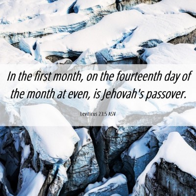 Picture 06 - Leviticus 23:5 ASV - In the first month, on the fourteenth day of the - Bible Verse Picture