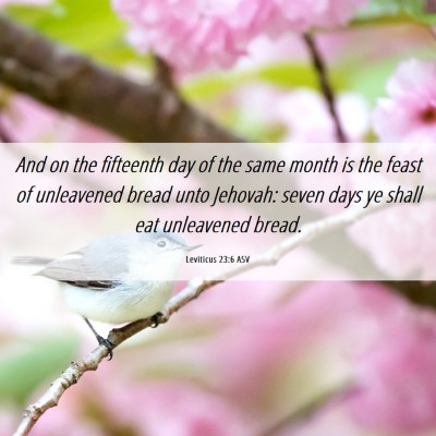 Picture 06 - Leviticus 23:6 ASV - And on the fifteenth day of the same month is the - Bible Verse Picture