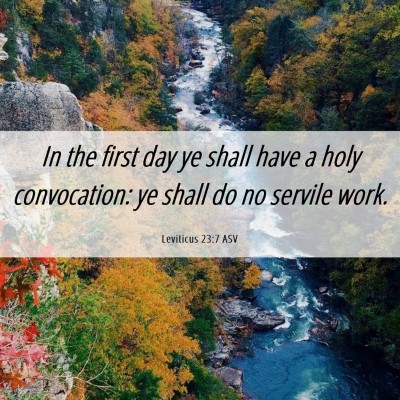 Picture 06 - Leviticus 23:7 ASV - In the first day ye shall have a holy - Bible Verse Picture