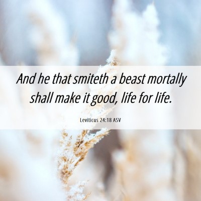 Picture 06 - Leviticus 24:18 ASV - And he that smiteth a beast mortally shall make - Bible Verse Picture