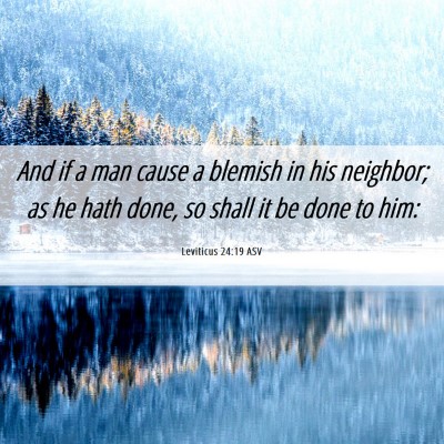 Picture 06 - Leviticus 24:19 ASV - And if a man cause a blemish in his neighbor; as - Bible Verse Picture