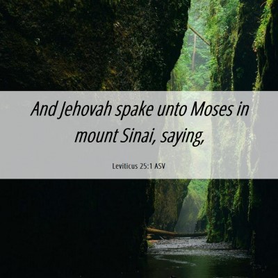 Picture 06 - Leviticus 25:1 ASV - And Jehovah spake unto Moses in mount Sinai, - Bible Verse Picture