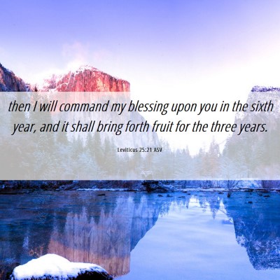 Picture 06 - Leviticus 25:21 ASV - then I will command my blessing upon you in the - Bible Verse Picture