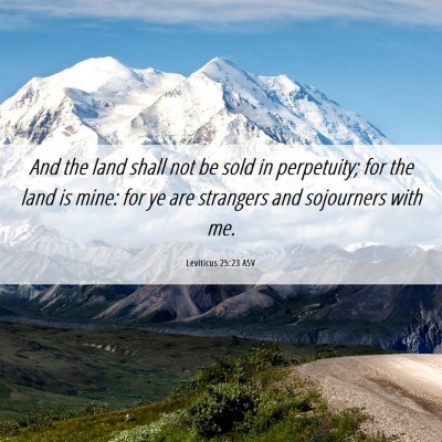 Picture 06 - Leviticus 25:23 ASV - And the land shall not be sold in perpetuity; for - Bible Verse Picture