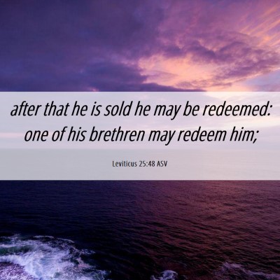 Picture 06 - Leviticus 25:48 ASV - after that he is sold he may be redeemed: one of - Bible Verse Picture