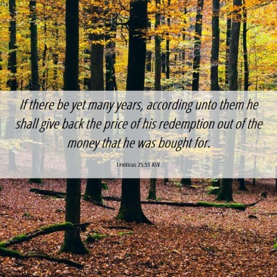 Picture 06 - Leviticus 25:51 ASV - If there be yet many years, according unto them - Bible Verse Picture