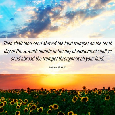 Picture 06 - Leviticus 25:9 ASV - Then shalt thou send abroad the loud trumpet on - Bible Verse Picture