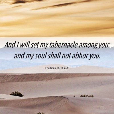 Picture 06 - Leviticus 26:11 ASV - And I will set my tabernacle among you: and my - Bible Verse Picture