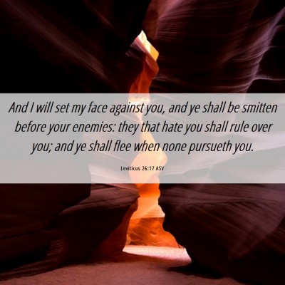 Picture 06 - Leviticus 26:17 ASV - And I will set my face against you, and ye shall - Bible Verse Picture