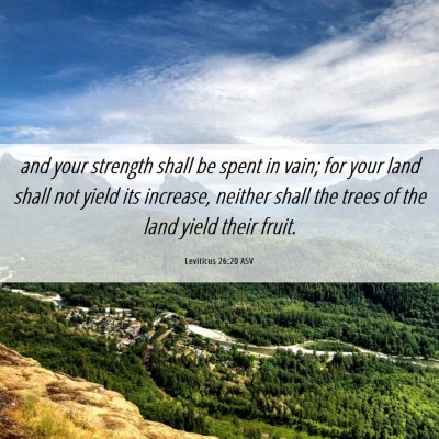 Picture 06 - Leviticus 26:20 ASV - and your strength shall be spent in vain; for - Bible Verse Picture