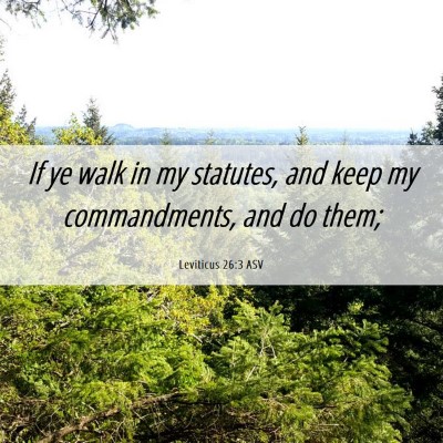 Picture 06 - Leviticus 26:3 ASV - If ye walk in my statutes, and keep my - Bible Verse Picture