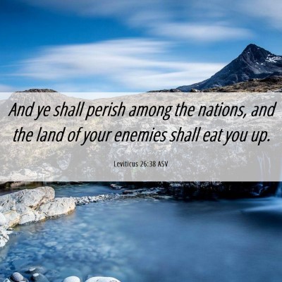 Picture 06 - Leviticus 26:38 ASV - And ye shall perish among the nations, and the - Bible Verse Picture