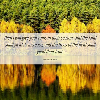 Picture 06 - Leviticus 26:4 ASV - then I will give your rains in their season, and - Bible Verse Picture