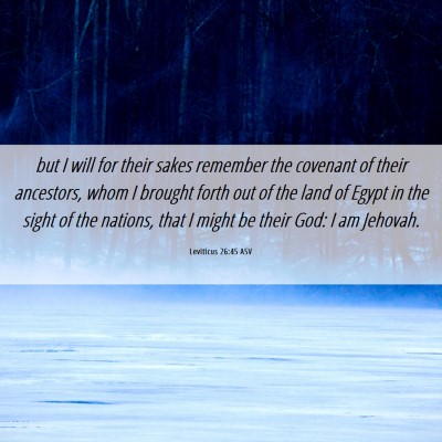 Picture 06 - Leviticus 26:45 ASV - but I will for their sakes remember the covenant - Bible Verse Picture