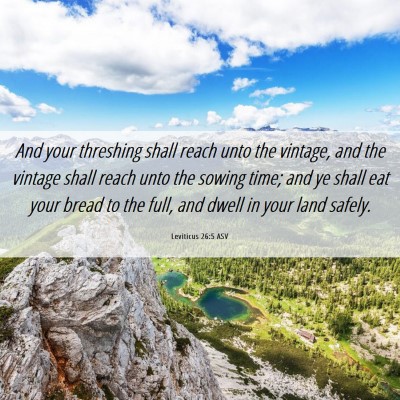 Picture 06 - Leviticus 26:5 ASV - And your threshing shall reach unto the vintage, - Bible Verse Picture