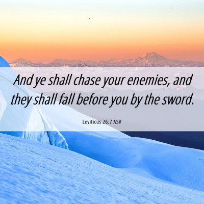 Picture 06 - Leviticus 26:7 ASV - And ye shall chase your enemies, and they shall - Bible Verse Picture