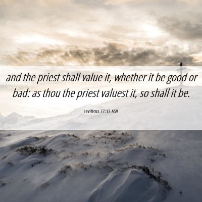 Picture 06 - Leviticus 27:12 ASV - and the priest shall value it, whether it be good - Bible Verse Picture