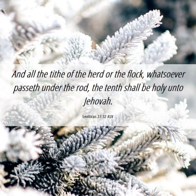 Picture 06 - Leviticus 27:32 ASV - And all the tithe of the herd or the flock, - Bible Verse Picture
