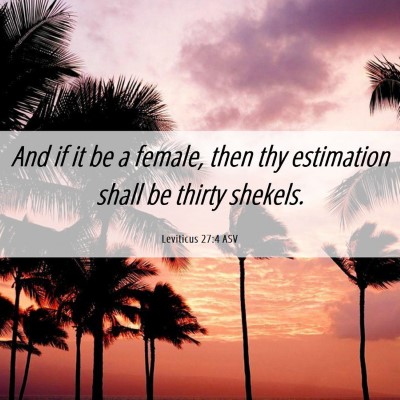 Picture 06 - Leviticus 27:4 ASV - And if it be a female, then thy estimation shall - Bible Verse Picture