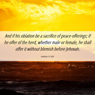 Picture 06 - Leviticus 3:1 ASV - And if his oblation be a sacrifice of - Bible Verse Picture