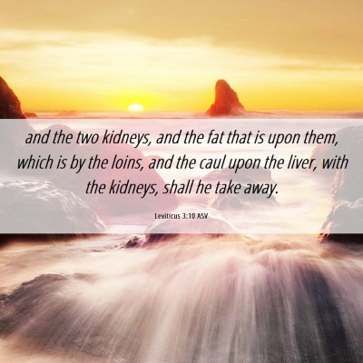 Picture 06 - Leviticus 3:10 ASV - and the two kidneys, and the fat that is upon - Bible Verse Picture