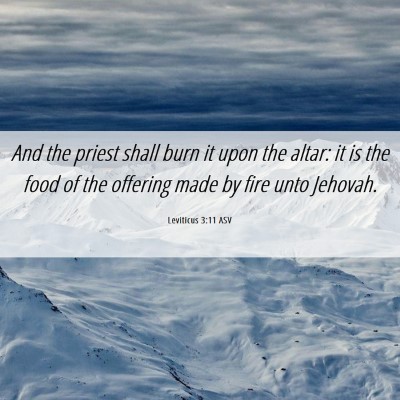 Picture 06 - Leviticus 3:11 ASV - And the priest shall burn it upon the altar: it - Bible Verse Picture