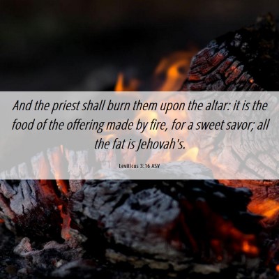 Picture 06 - Leviticus 3:16 ASV - And the priest shall burn them upon the altar: it - Bible Verse Picture