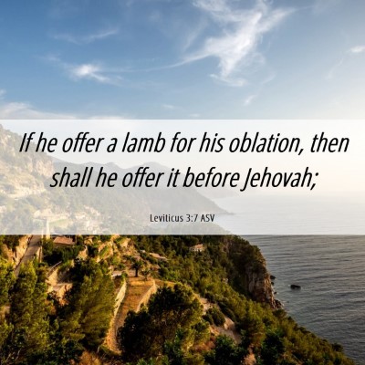 Picture 06 - Leviticus 3:7 ASV - If he offer a lamb for his oblation, then shall - Bible Verse Picture