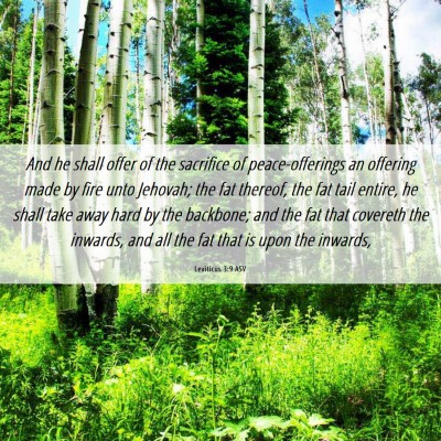 Picture 06 - Leviticus 3:9 ASV - And he shall offer of the sacrifice of - Bible Verse Picture
