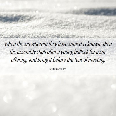 Picture 06 - Leviticus 4:14 ASV - when the sin wherein they have sinned is known, - Bible Verse Picture