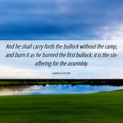 Picture 06 - Leviticus 4:21 ASV - And he shall carry forth the bullock without the - Bible Verse Picture