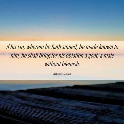 Picture 06 - Leviticus 4:23 ASV - if his sin, wherein he hath sinned, be made known - Bible Verse Picture