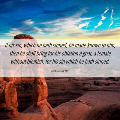 Picture 06 - Leviticus 4:28 ASV - if his sin, which he hath sinned, be made known - Bible Verse Picture