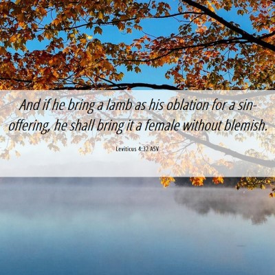 Picture 06 - Leviticus 4:32 ASV - And if he bring a lamb as his oblation for a - Bible Verse Picture