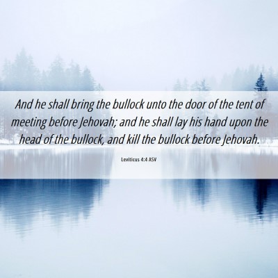 Picture 06 - Leviticus 4:4 ASV - And he shall bring the bullock unto the door of - Bible Verse Picture