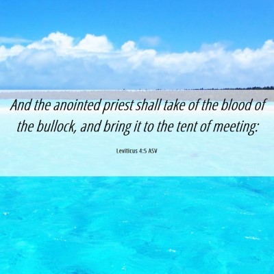 Picture 06 - Leviticus 4:5 ASV - And the anointed priest shall take of the blood - Bible Verse Picture