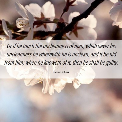Picture 06 - Leviticus 5:3 ASV - Or if he touch the uncleanness of man, whatsoever - Bible Verse Picture