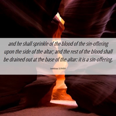 Picture 06 - Leviticus 5:9 ASV - and he shall sprinkle of the blood of the - Bible Verse Picture